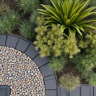 サステナブルな植栽